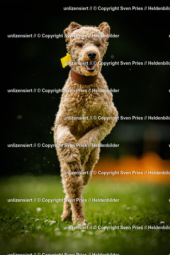 Sven Pries | 2025-05-29 - Pudelrennen KA-Durlach - Realisiert mit Pictrs.com