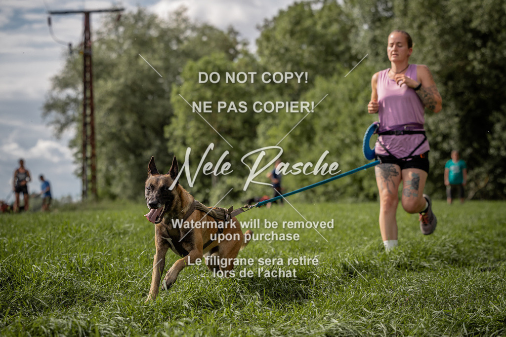 nelerasche_DoN_181 | nelerasche