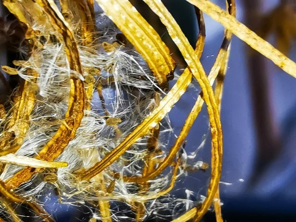 PSX_20221229_233518 | mtkfoto_ - Realisiert mit Pictrs.com