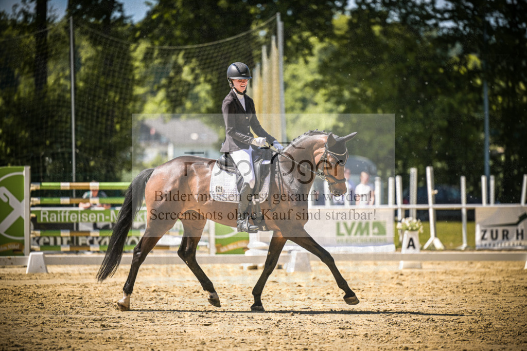 DOS_8797 | Entdecke hochwertige Reitturnierfotos von Foto Oger. Professionell, emotional und authentisch – jetzt Lieblingsmomente im Shop bestellen.Deutschlandweite Turnierfotografie. - Realisiert mit Pictrs.com