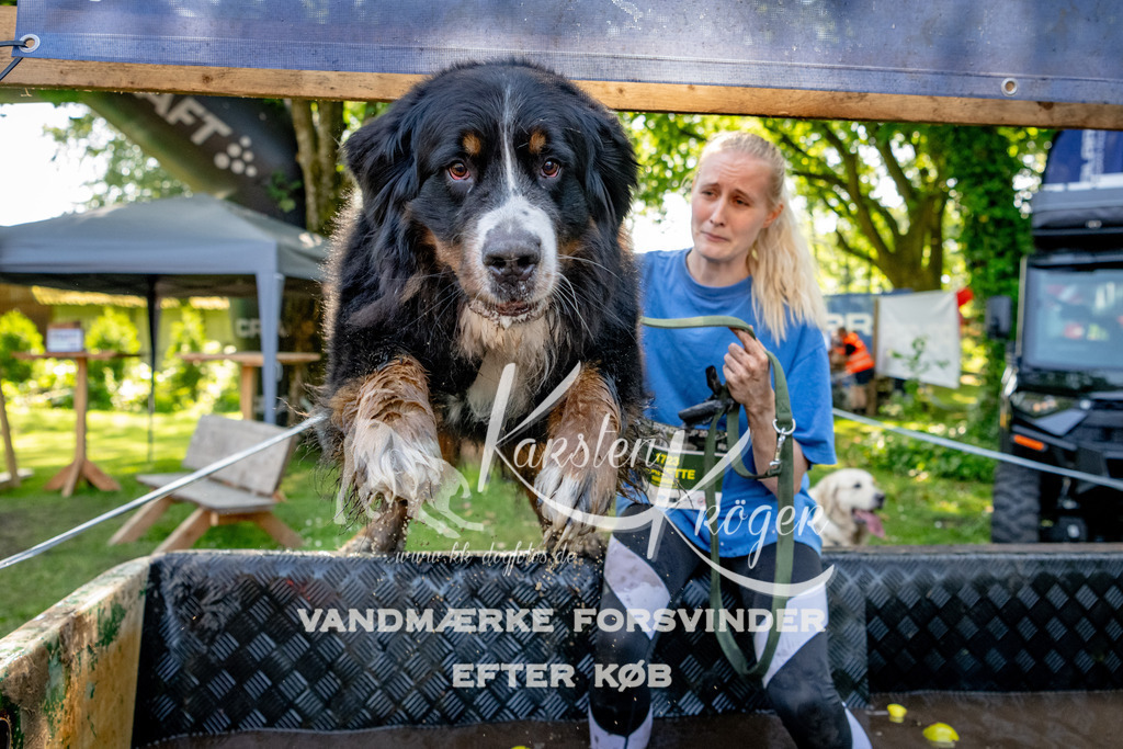 1549_ZZ90227 | kk-dogfotos