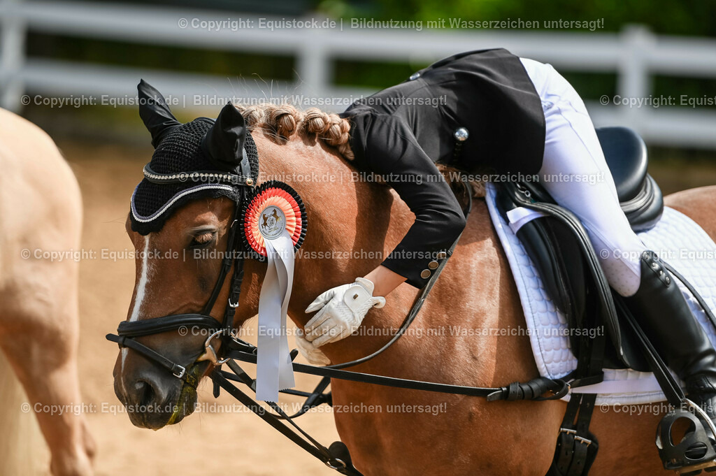 20230716_10-3_Reiter-WB Schritt - Trab - Galopp_0239 | equistock