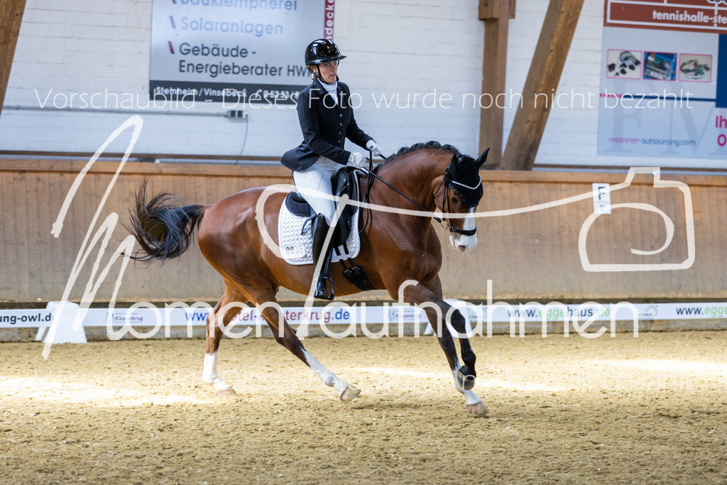 Sth-LPO25-DrR-L-212 | MomenTaufnahmen Pferdesportfotos