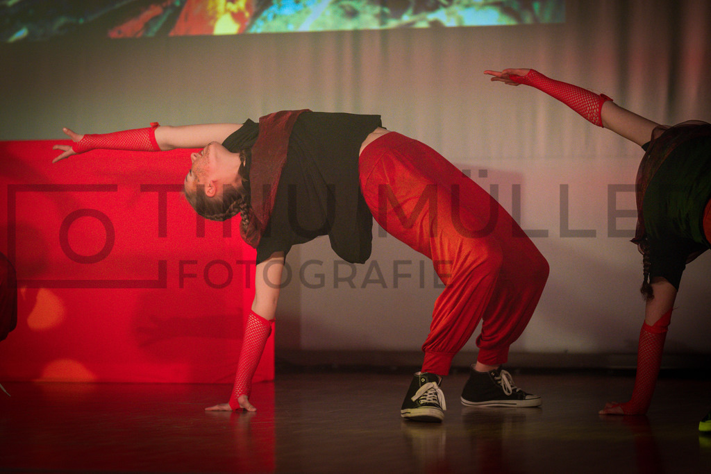 _DSC2509 | Tinu Müller Fotografie- Bildershop - Realisiert mit Pictrs.com