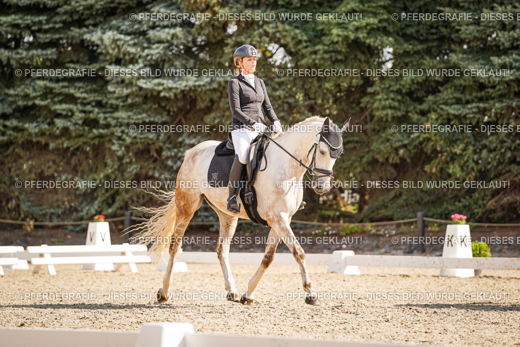 DSC00525 | Pferdegrafie