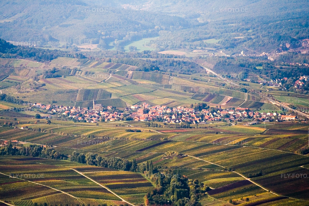Luftbild: Weinbergs- Landschaft der Winzer- Gebiete in Birkweiler im Bundesland Rheinland-Pfalz in Deutschland. Foto: IMG_8329.jpg vom 06.10.2007 durch Werner Riehm/FLY-FOTO.de