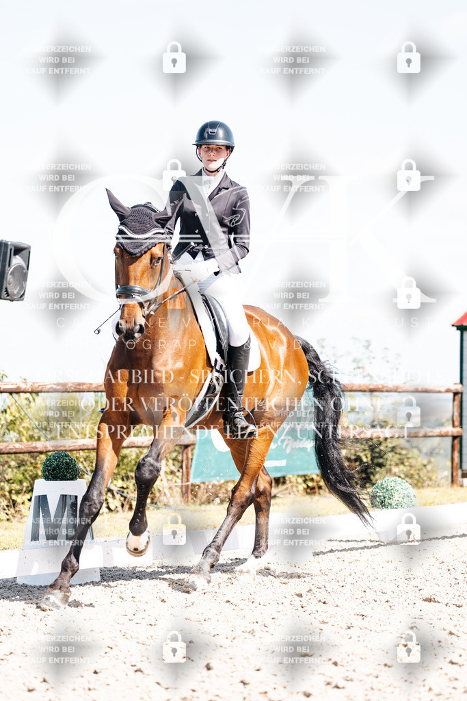 CK902963 | Turnierfotografie Pferdefotografie Trier Rheinland-Pfalz Pferdesport Reitsport Tierfotografie Sportfotografie Pferdevideo Pferdevideografie Equestrianvideography equestrianphotography  - Realisiert mit Pictrs.com