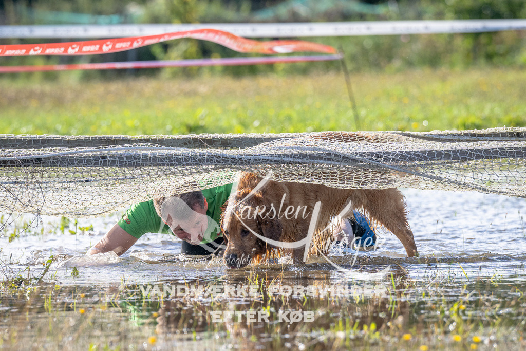 1034_ZZ90788 | kk-dogfotos