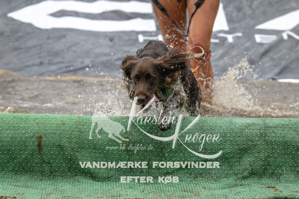 1557_ZZ91552 | kk-dogfotos