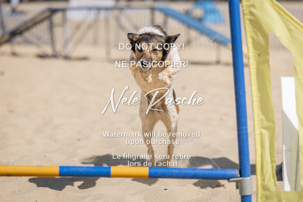 nelerasche_saBeachility_531 | nelerasche