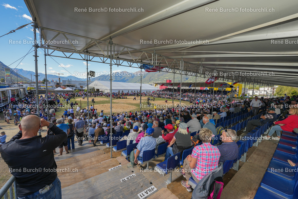 DSC09120 | René Burch leidenschaftlicher Fotograf aus Kerns in Obwalden.  Hier finden sie Sport, Landschaft und Natur Fotografie.
 - Realisiert mit Pictrs.com