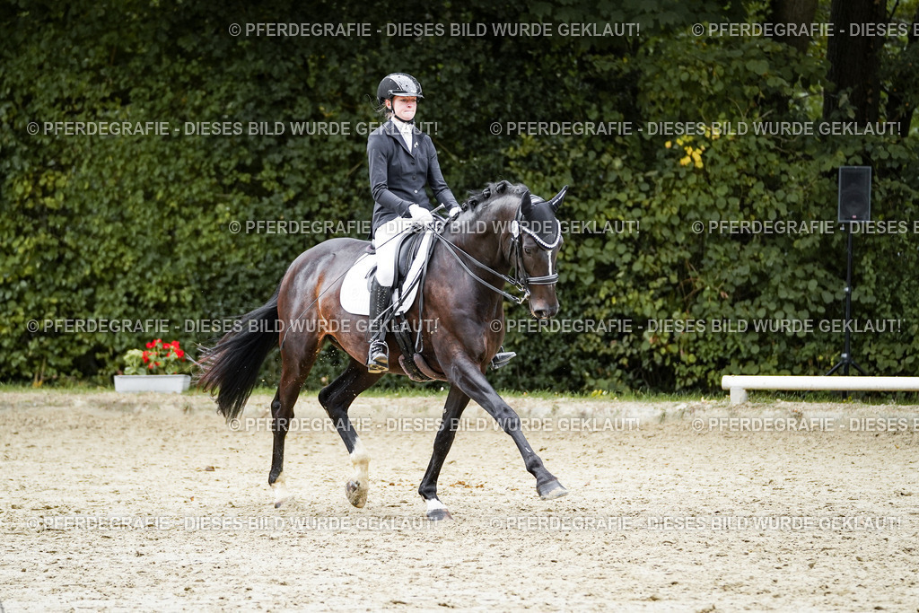 DSC01237 | Pferdegrafie