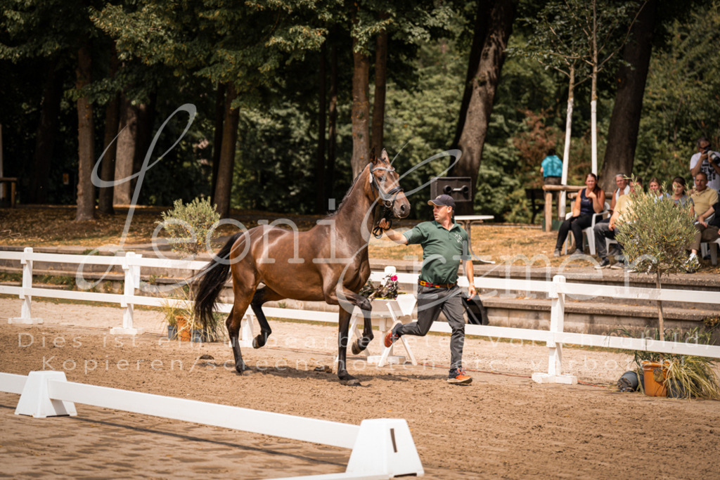 2. Fr00046 | Leoni Ertmer Photography - Realisiert mit Pictrs.com