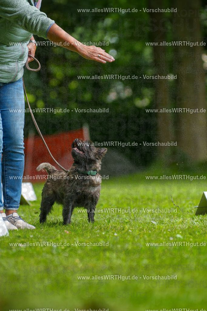 @allesWIRTHgut_Tierfotografie - www.allesWIRTHgut.de - 7R504480 | Professionelle Tierfotografie in Mönchengladbach von Daniel Wirth (allesWIRTHgut). Liebevolle & natürliche Bilder von Hunden & Katzen für unvergessliche Erinnerungen.