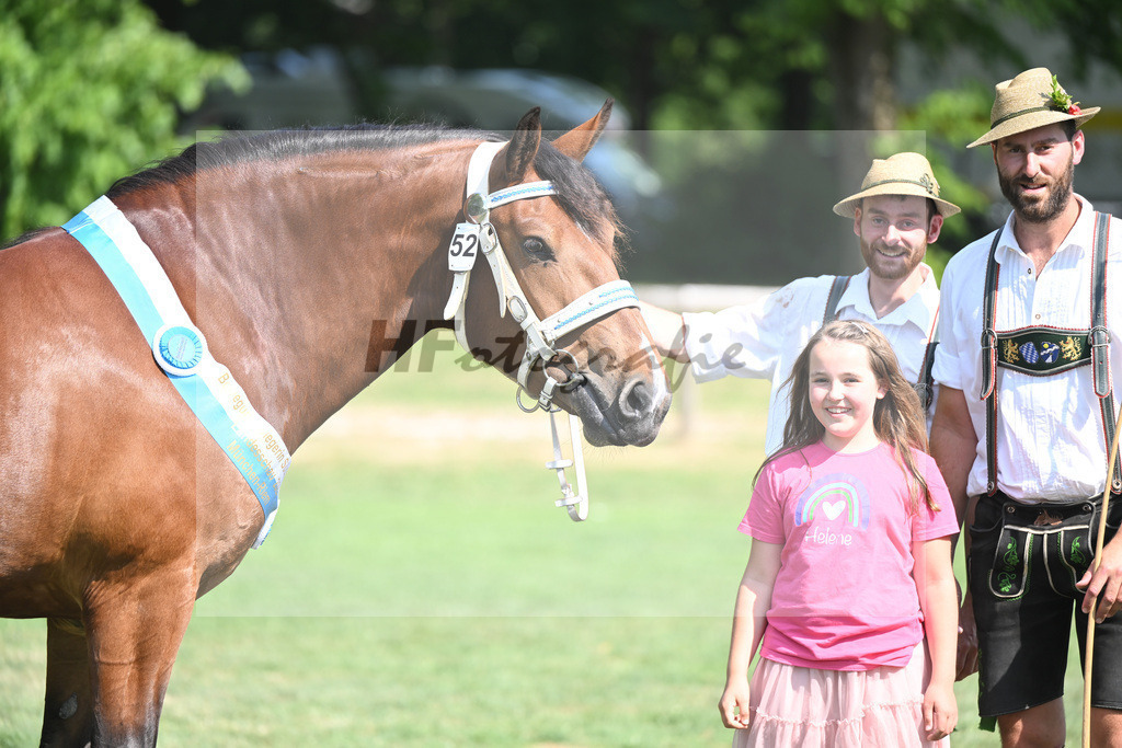 Kat-Nr. 52 Goldy_Weyer_20231436 | hf-fotografie - Realisiert mit Pictrs.com