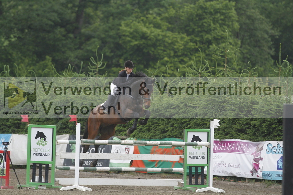 _MG_6996 | equestrian-live-com