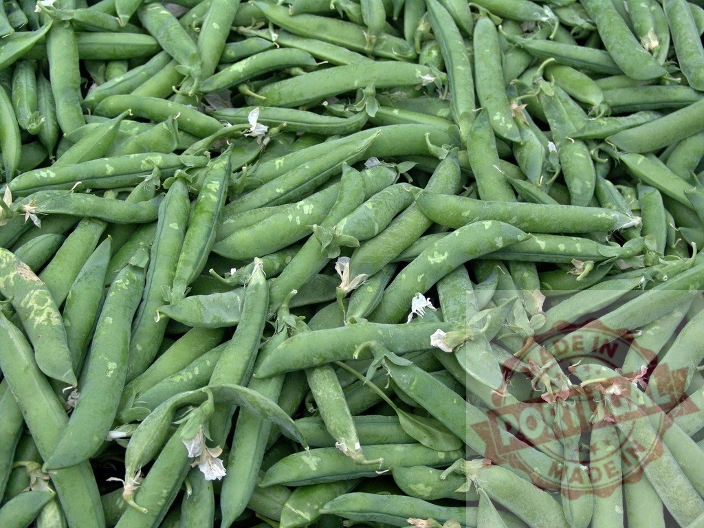 Fresh green pea pods harvested for market | Green pea pods filling the frame, representing healthy organic food and abundance - Realized with Pictrs.com