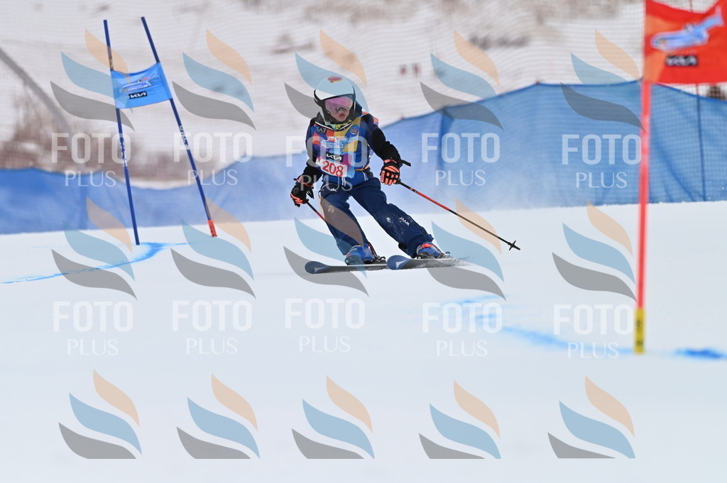 BGV_2279 | holidayphoto