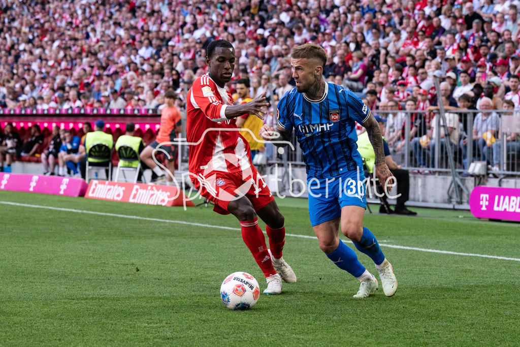 FC Bayern München - 1. FC Heidenheim | MUNICH, GERMANY - 02. MAI: im Duell Nicolas JACKSON (FC Bayern Munich 11) und Niklas DORSCH (1. FC Heidenheim 30) während dem Bundesligamatch zwischen dem FC Bayern München und dem 1. FC Heidenheim am 32. Spieltag in der Allianz Arena / DFL REGULATIONS PROHIBIT ANY USE OF PHOTOGRAPHS AS IMAGE SEQUENCES AND/OR QUASI-VIDEO