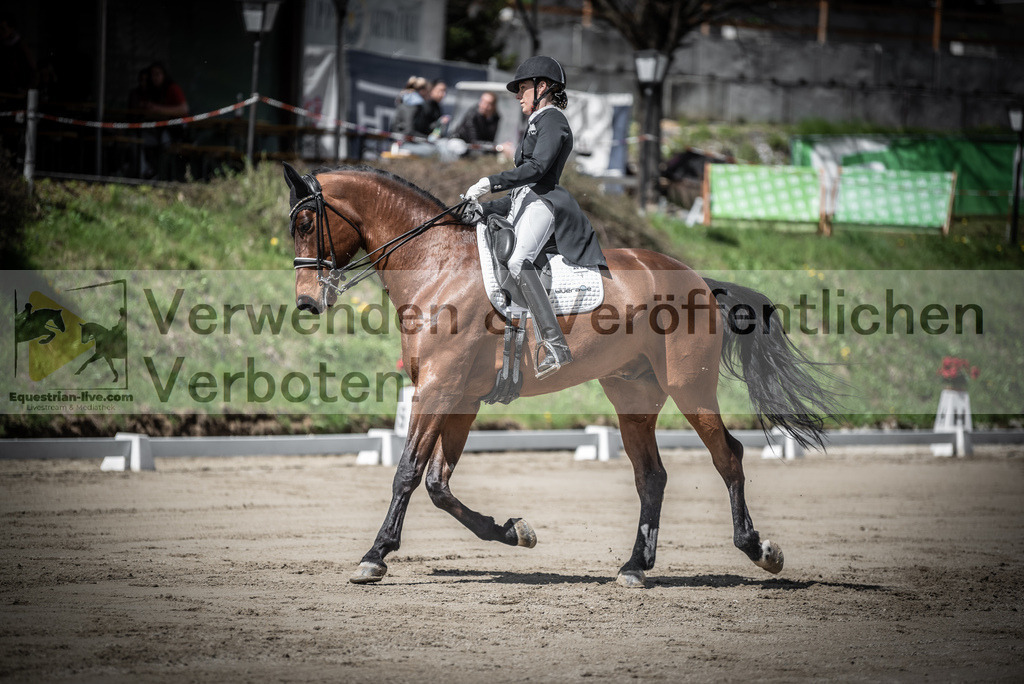DSC_1806 | equestrian-live-com