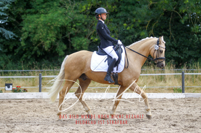 DKP45985 | Turniersportfotografie; Pferdefotografie; Dressurfotografie