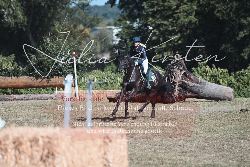 DSC_8809 | Pferde- und Turnierfotografie in Westsachsen. Pferdeportraits, Auftragszeichnungen und intuitive Kunst.