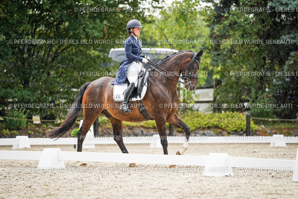 DSC08008 | Pferdegrafie