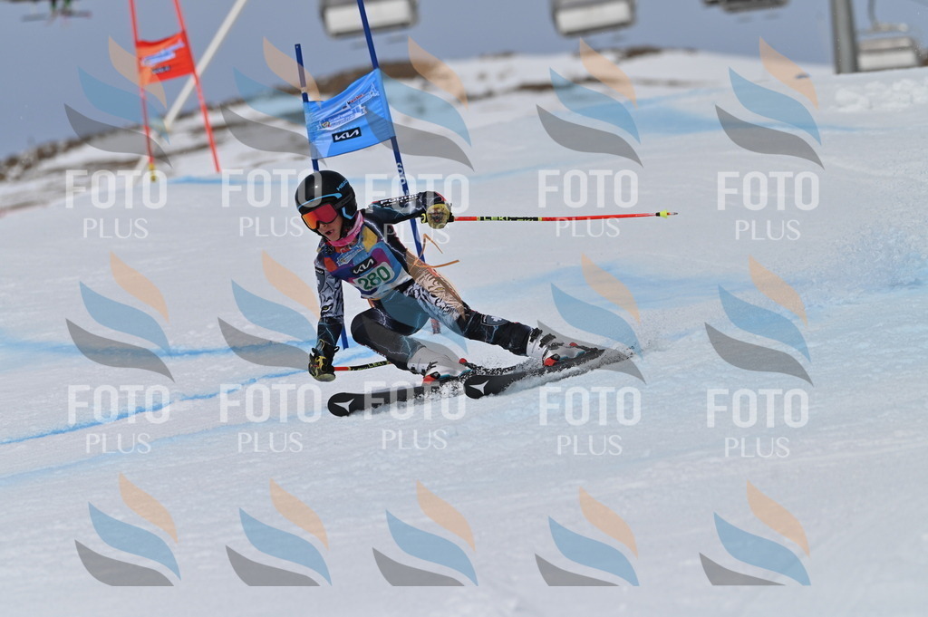 BGV_5574 | holidayphoto