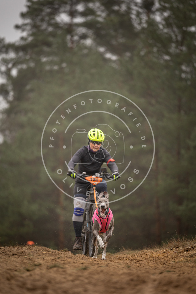 Pfotenfotografie_DV3A3288 | Hundefotografie, Tierfotograf, Pfotenfotografie, Fotoshooting Hund, Hunde Portrait, Hundesport, Hundeportraits, Heideshooting, Hunde, Sportfotograf, Hundefotograf, Turnierhundsport, THS,  - Realisiert mit Pictrs.com
