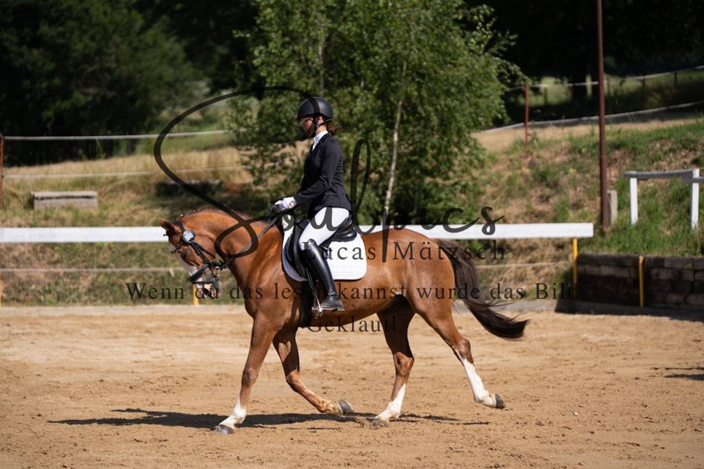 A7V07817 | Turnier/Reitfotograf