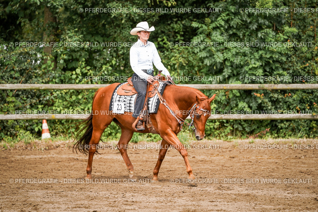 DSC09183 | Pferdegrafie