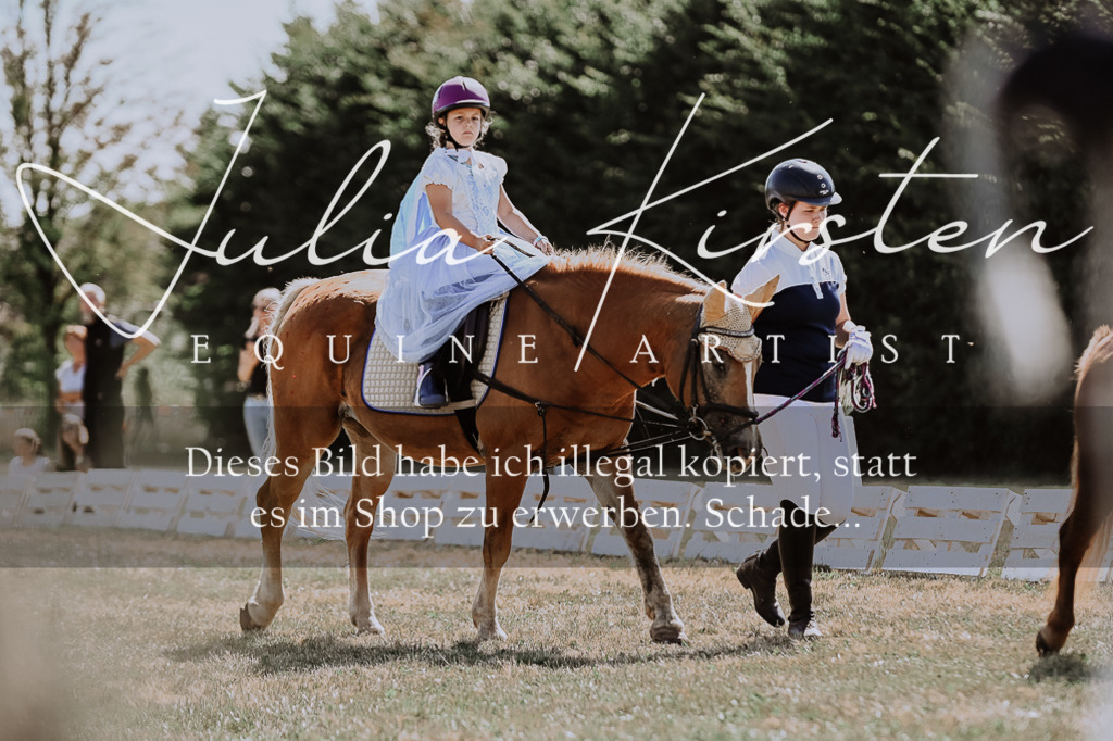 DSC_8895 | Pferde- und Turnierfotografie in Westsachsen. Pferdeportraits, Auftragszeichnungen und intuitive Kunst.