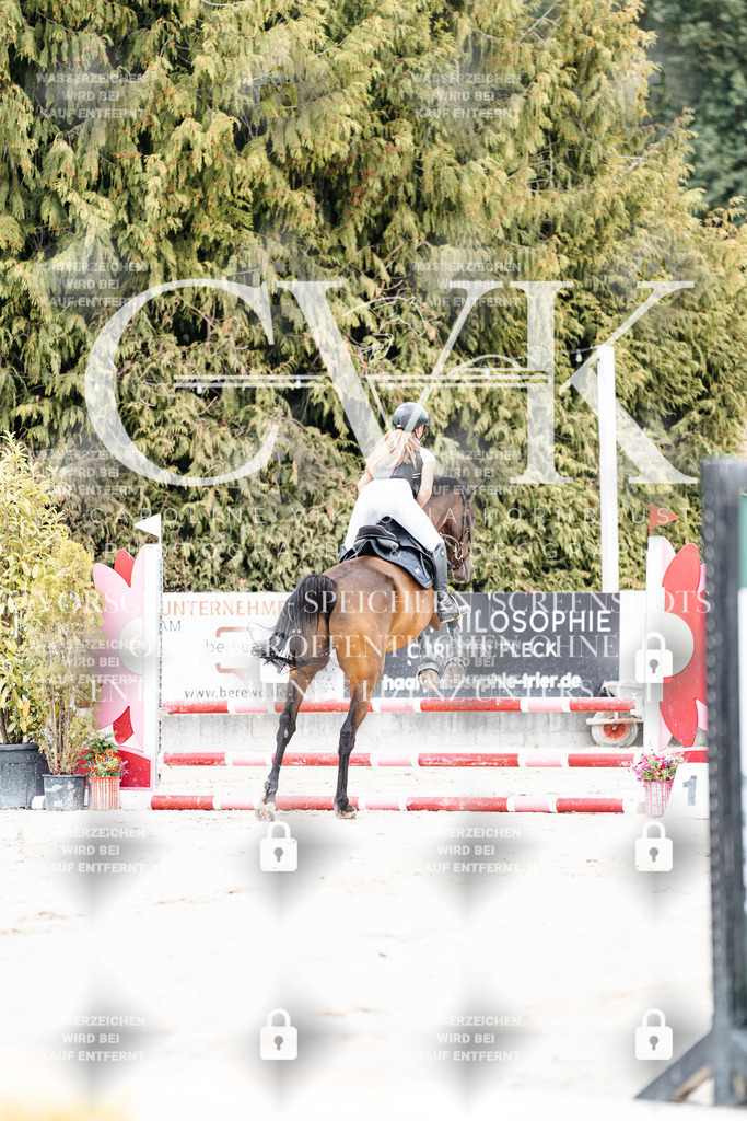 CK907784 | Turnierfotografie Pferdefotografie Trier Rheinland-Pfalz Pferdesport Reitsport Tierfotografie Sportfotografie Pferdevideo Pferdevideografie Equestrianvideography equestrianphotography  - Realisiert mit Pictrs.com