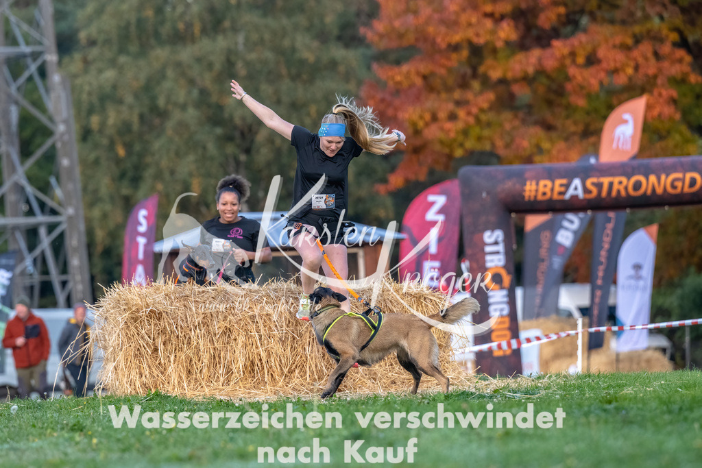 0817_ZZ90132-Bearbeitet | kk-dogfotos