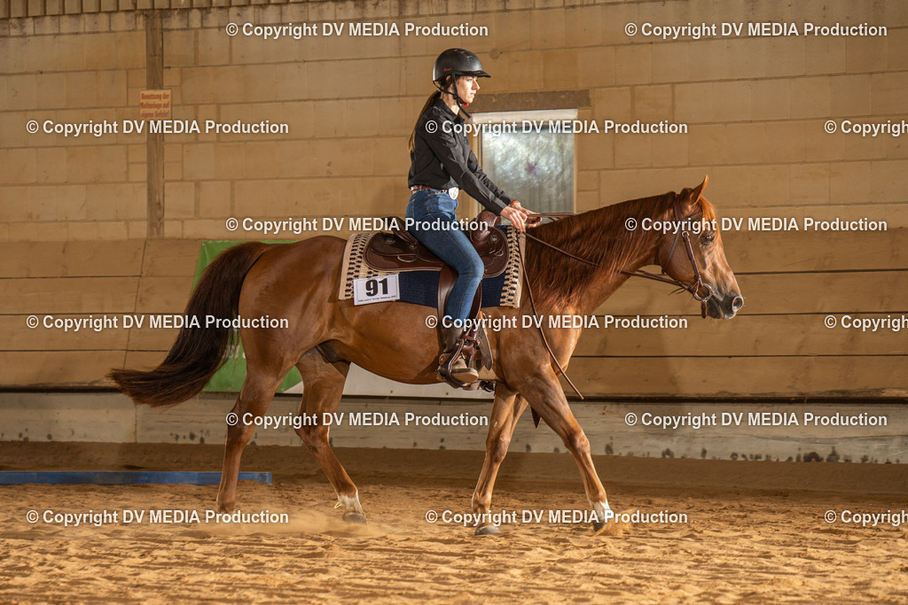 NID02490 | dv-media-shop - Realisiert mit Pictrs.com