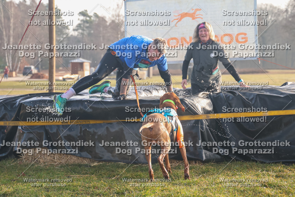 Dog Paparazzi - SD North 0326 900930-25 | Dog Paparazzi Jeanette Grottendiek Fotografie & Videografie - Realisiert mit Pictrs.com