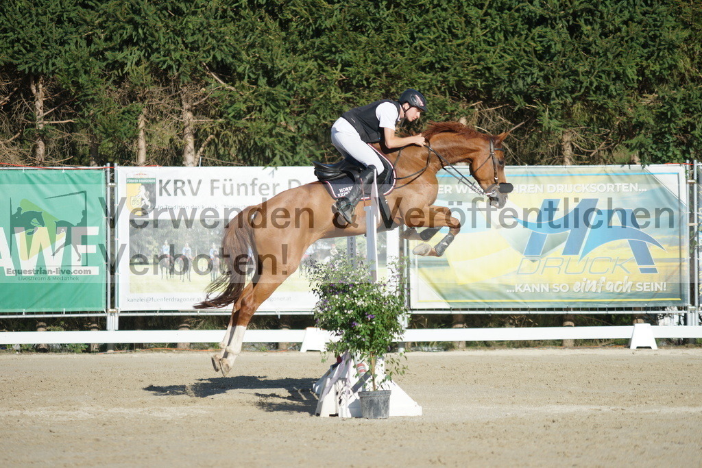 DSC01409 | equestrian-live-com