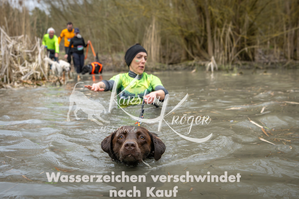 1355_ZZ94574 | kk-dogfotos