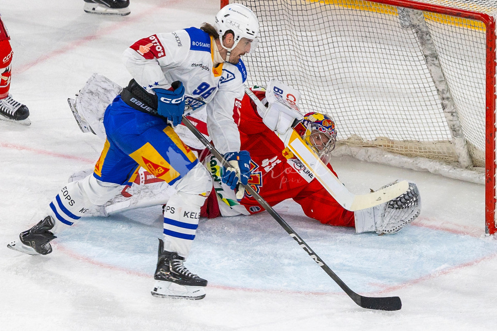 EHCB vs EVZ 20260227_WB-7407 | Sportbilder, Sportfotograf, Hochzeits- und Eventfotografin, Flugshows, Portraits und Tiershooting, Aviation, Downhill, Nationalleague, Swissleague, International