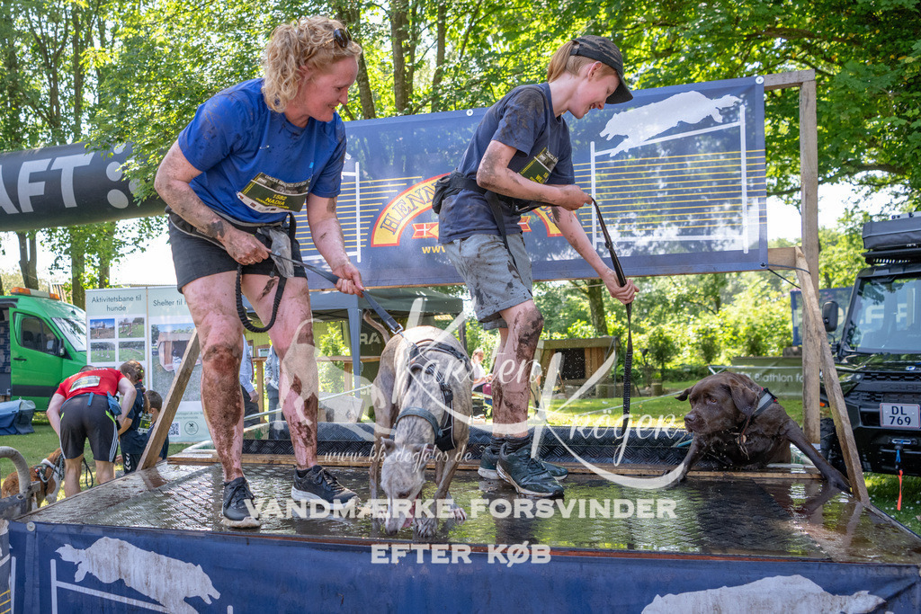 1422_ZZ93997 | kk-dogfotos