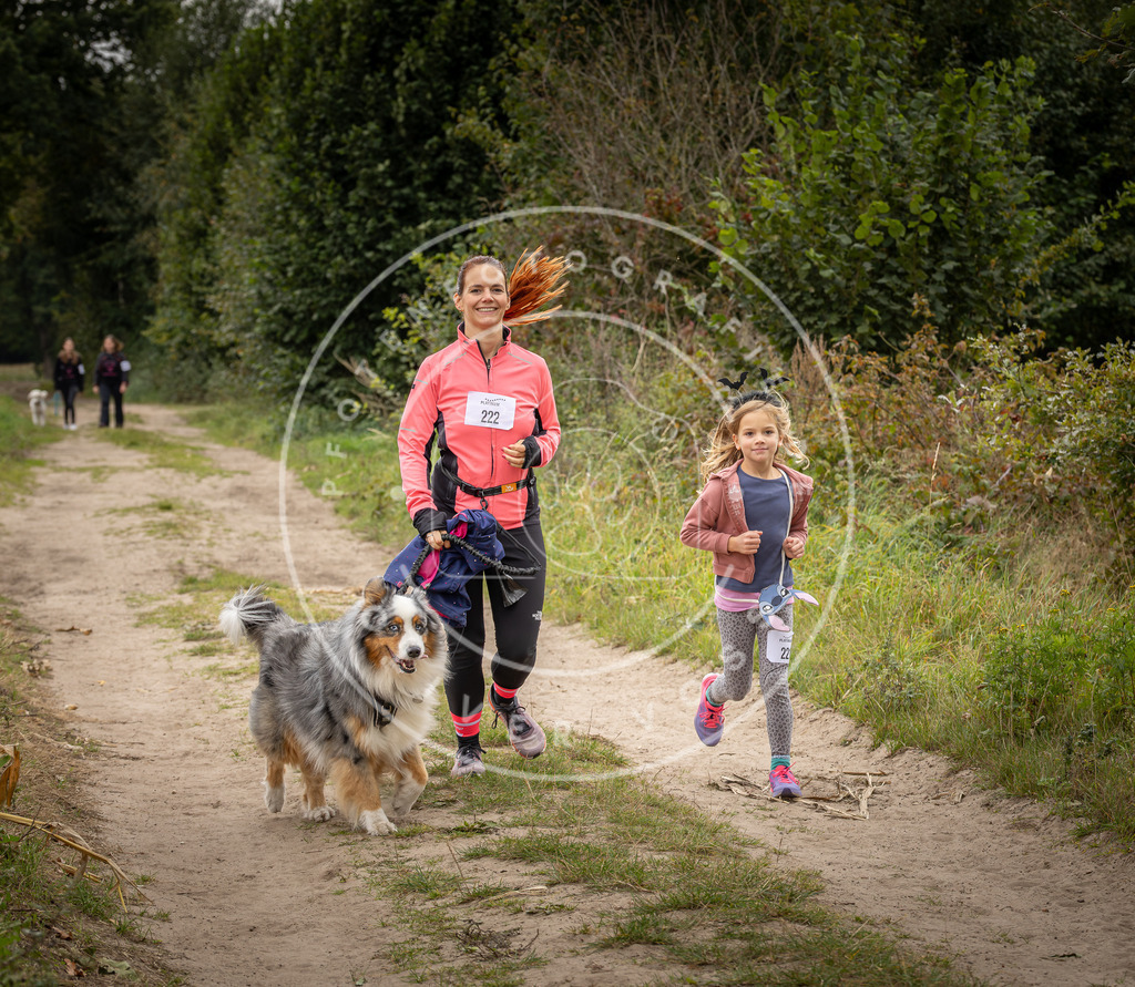 Pfotenfotografie_DV3A7715 | Hundefotografie, Tierfotograf, Pfotenfotografie, Fotoshooting Hund, Hunde Portrait, Hundesport, Hundeportraits, Heideshooting, Hunde, Sportfotograf, Hundefotograf, Turnierhundsport, THS,  - Realisiert mit Pictrs.com