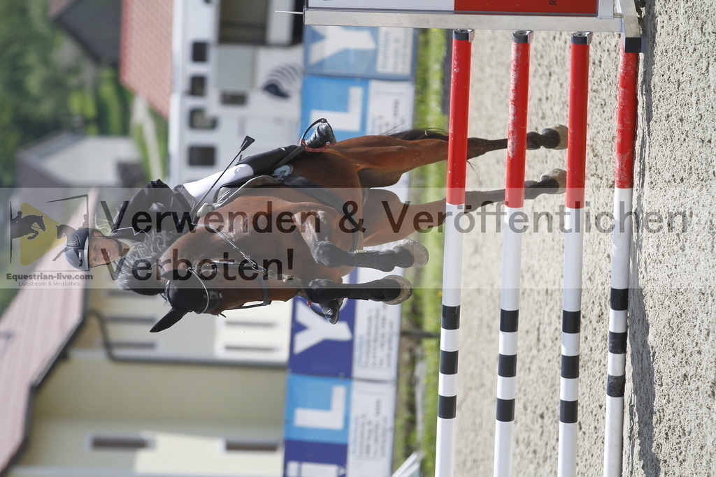 _MG_1967 | equestrian-live-com
