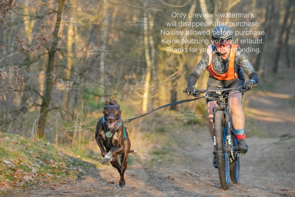 Sa_Bike-113 | stephaniefillaphotographie - Realisiert mit Pictrs.com