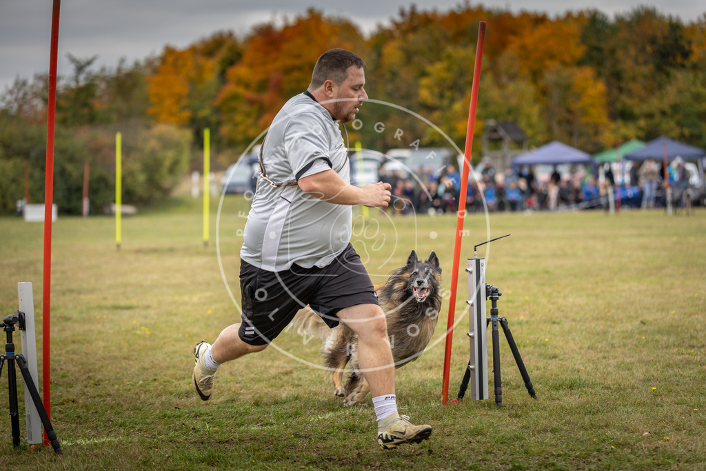 Pfotenfotografie_DV3A8351 | Hundefotografie, Tierfotograf, Pfotenfotografie, Fotoshooting Hund, Hunde Portrait, Hundesport, Hundeportraits, Heideshooting, Hunde, Sportfotograf, Hundefotograf, Turnierhundsport, THS,  - Realisiert mit Pictrs.com