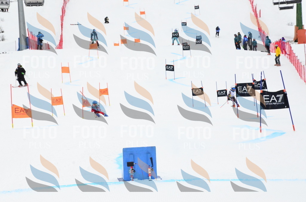 _ELE3935 | holidayphoto