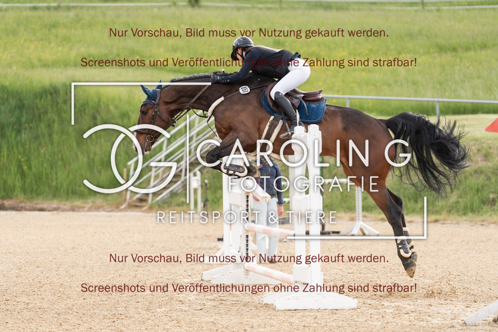 DSC00499 | Jugendturnier_Ehingen_Mai_2026, Luisa_Hoffmann, Cool_Cannon