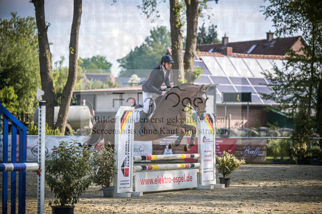 DOS_5267 | Entdecke hochwertige Reitturnierfotos von Foto Oger. Professionell, emotional und authentisch – jetzt Lieblingsmomente im Shop bestellen.Deutschlandweite Turnierfotografie. - Realisiert mit Pictrs.com