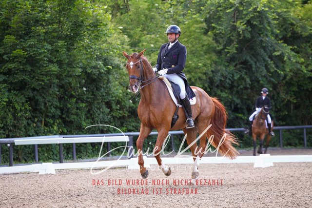 DKP41305 | Deine Turnierfotos vom Reitturnier online kaufen: Dressur, Springen & Siegerehrung. Professionelle Pferdefotografie aus dem Rheinland – als Download & Print.Alternative: Turnierfotograf für den Pferdesport: Finde deine Fotos von Dressur- und Springturnier