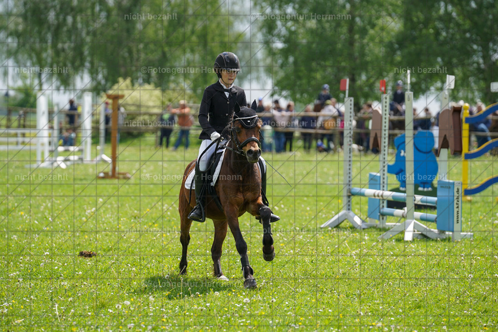 20240509-FAH02349 | Turnierbilder der Turnierfotografen Bayern, Pferdesport Fotografie, Reitsportbilder, Turnier Landberg am Lech, Turnierbilder bayern, Fotoagentur Herrmann