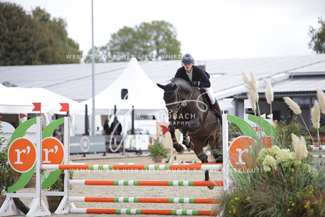 1J2A0795Elisa Marlene von Hacht_ Pablo vd Kruisselbrink_ Kn828_ Havekost | Foto- und Videografie für alles rund ums Pferd. Hochwertige Bilder und Videos vom Spring- und Dressurreiten, Voltigieren & mehr. Jetzt aktuelle Veranstaltungen und Preise im Shop ansehen. - Realisiert mit Pictrs.com